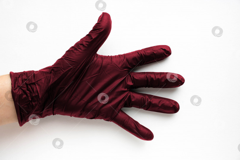 Скачать Рука в хирургической медицинской перчатке цвета Viva Magenta, выделенная на белом фоне. Производство резиновых защитных перчаток.Гигиена и санитарные нормы фотосток Ozero