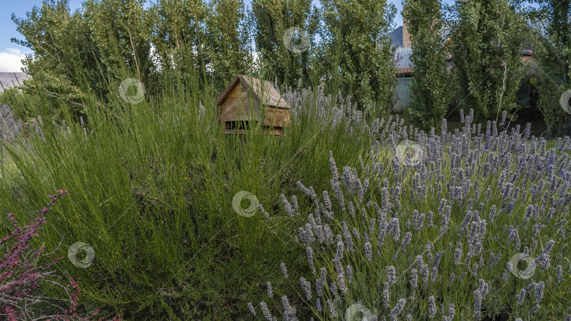Скачать Кормушка для птиц в виде небольшого деревянного домика фотосток Ozero