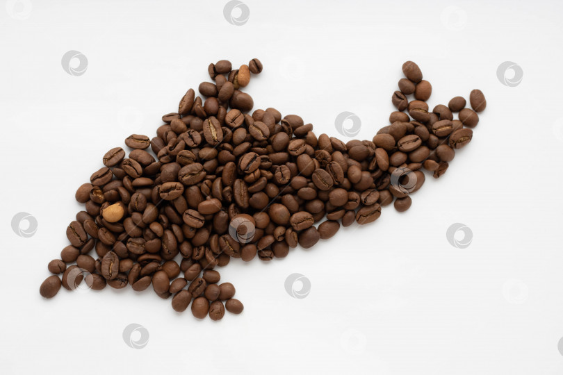 Скачать обжаренные кофейные зерна, выделенные на вырезе на белом фоне фотосток Ozero