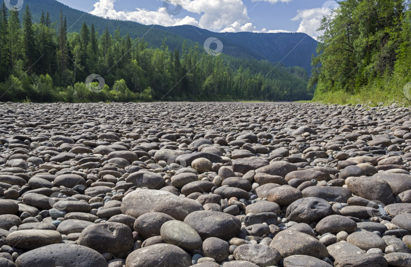 Скачать Сухое каменистое русло реки. фотосток Ozero