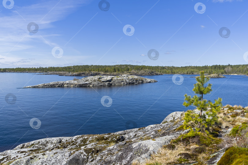 Скачать Небольшие каменные острова в ладожских шхерах фотосток Ozero