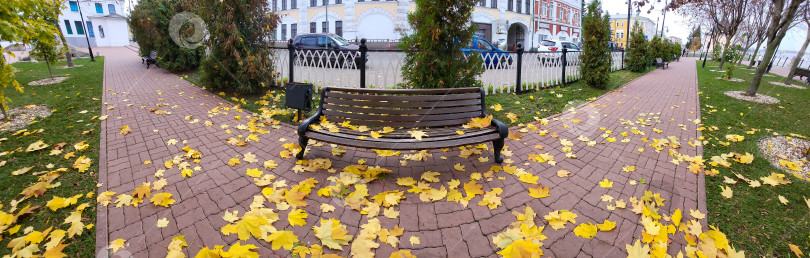 Скачать Панорама деревянной скамейки в парке и осенних желтых кленовых листьев на красной садовой дорожке фотосток Ozero