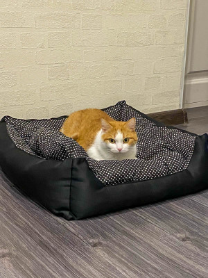 [object Object] undefined