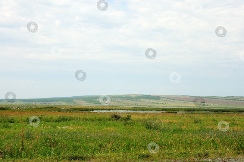 Скачать Бескрайняя степь с высокой травой, небольшим озером и высокими холмами под летним облачным небом. фотосток Ozero