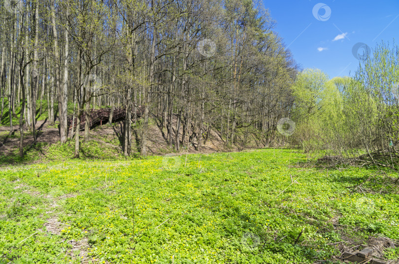 Скачать Луг в долине ручья весной. фотосток Ozero