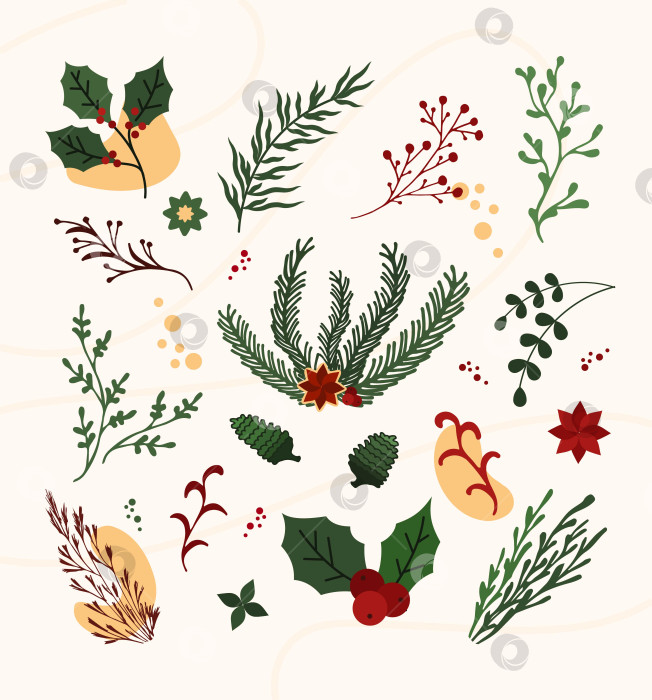 Скачать Нарисуйте от руки рождественские растительные украшения в виде листьев, цветов, веток. Нарисуйте падуб с цветочными элементами, ветками фотосток Ozero
