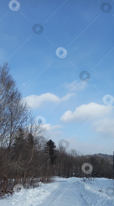 Скачать зимний пейзаж, заснеженная дорога фотосток Ozero