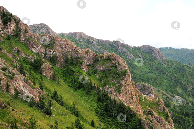 Скачать Высокие скалы, торчащие из земли на склоне высокой горы под пасмурным летним небом. фотосток Ozero