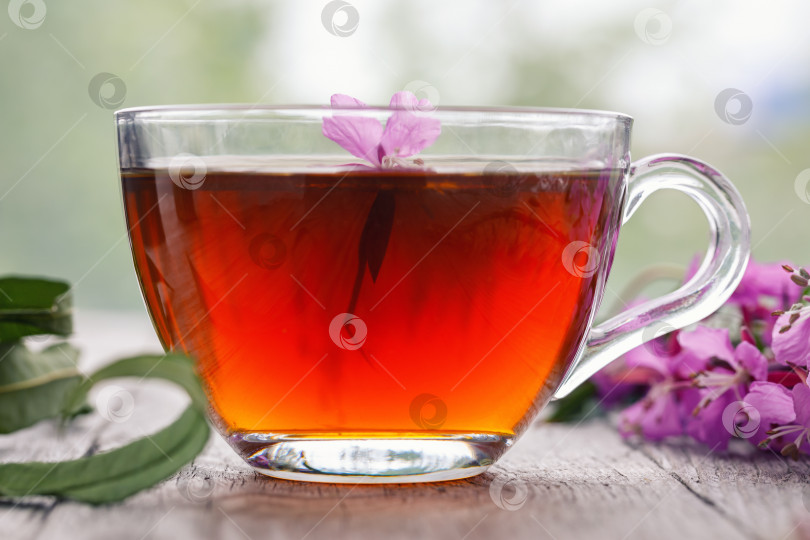 Скачать Традиционный русский травяной напиток Иван-чай в прозрачной чашке крупным планом на деревянном столе. Положительно влияет на организм человека фотосток Ozero