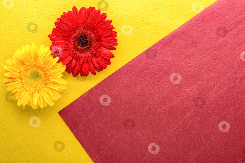 Скачать Красно-желтый фон с бумагами и цветами фотосток Ozero