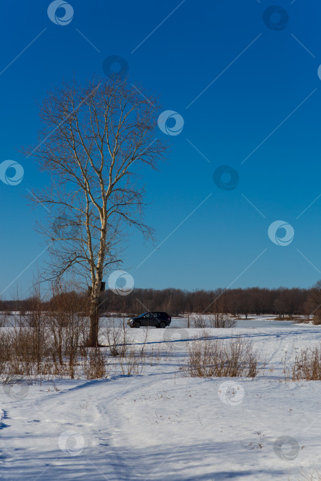 Скачать В марте на замёрзшем озере фотосток Ozero