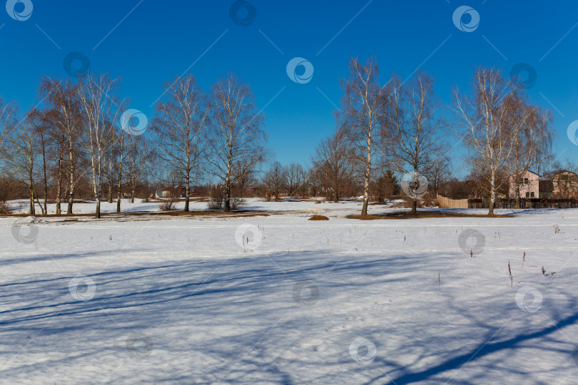 Скачать Мартовский пейзаж фотосток Ozero