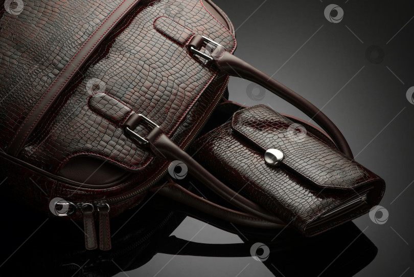 Скачать Крупным планом модная женская сумка и портмоне на темном фоне фотосток Ozero