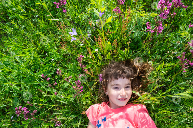 Скачать Портрет девочки-подростка летом, лежащей в траве и полевых цветах с пятками и ладонями. летнее время, свобода фотосток Ozero