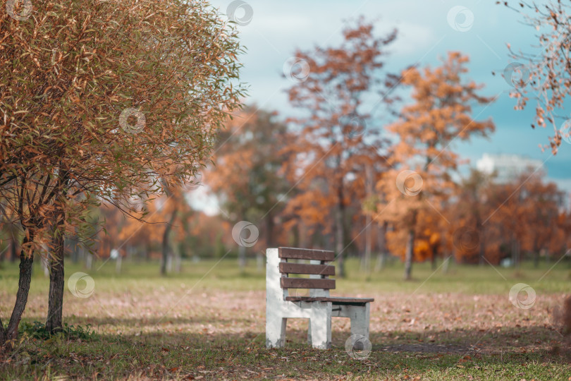 Скачать Место в парке фотосток Ozero