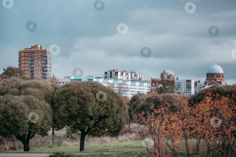 Скачать Муринский парк осенью фотосток Ozero