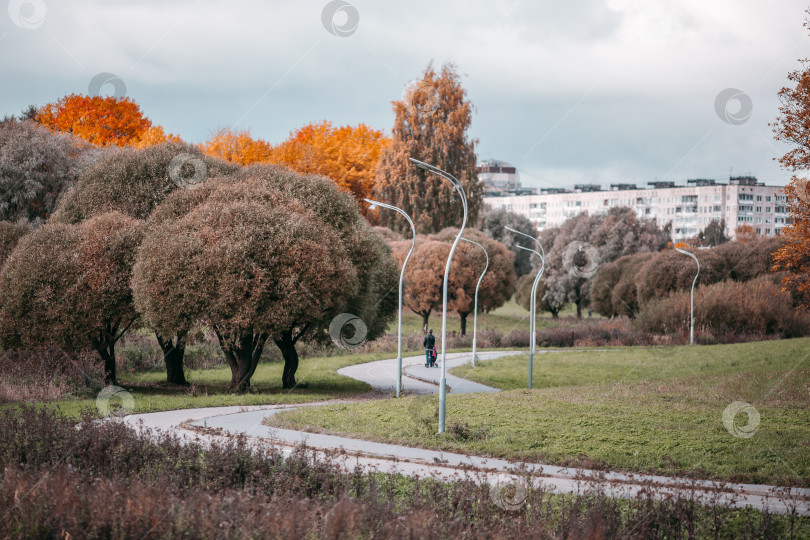 Скачать Муринский парк фотосток Ozero