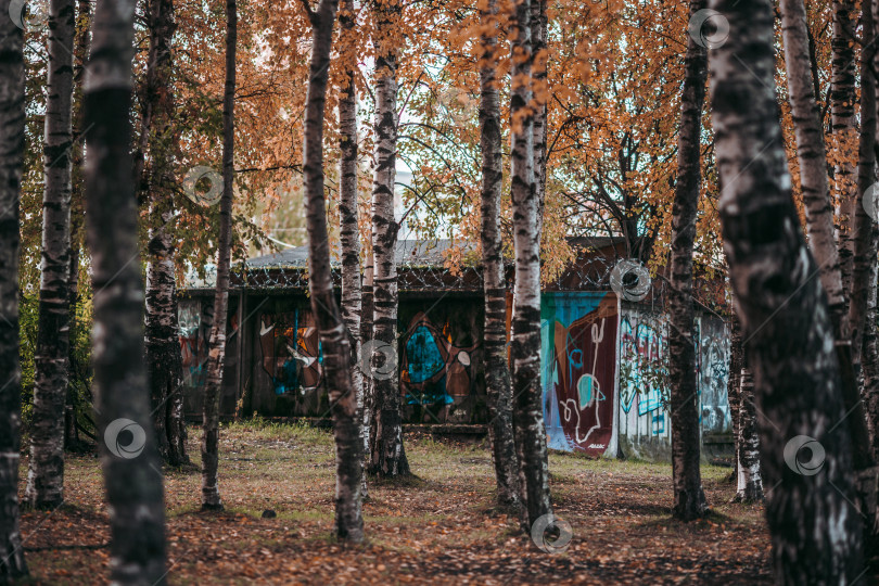 Скачать Забор в рисунках фотосток Ozero