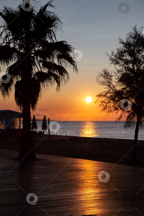 Скачать Солнце встает над морем. Вид с набережной с пальмами. фотосток Ozero