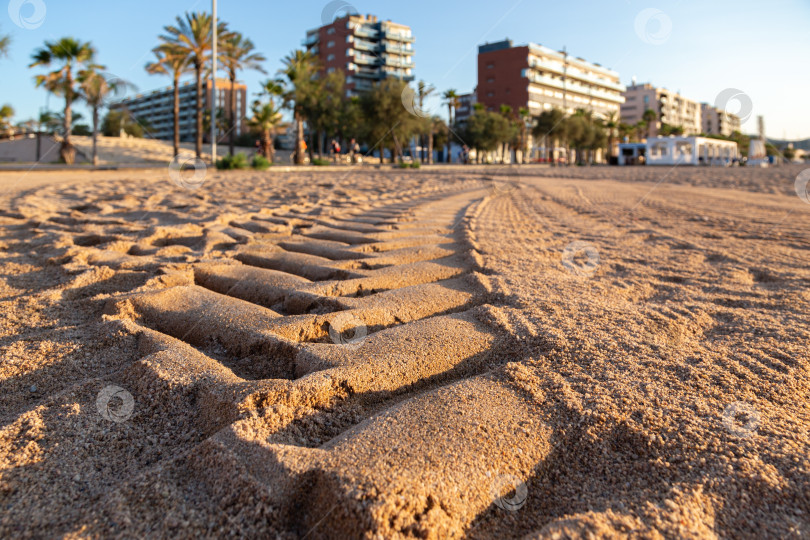 Скачать Отпечатки автомобильных шин на песке с пальмами и зданиями на заднем плане, выборочный фокус фотосток Ozero
