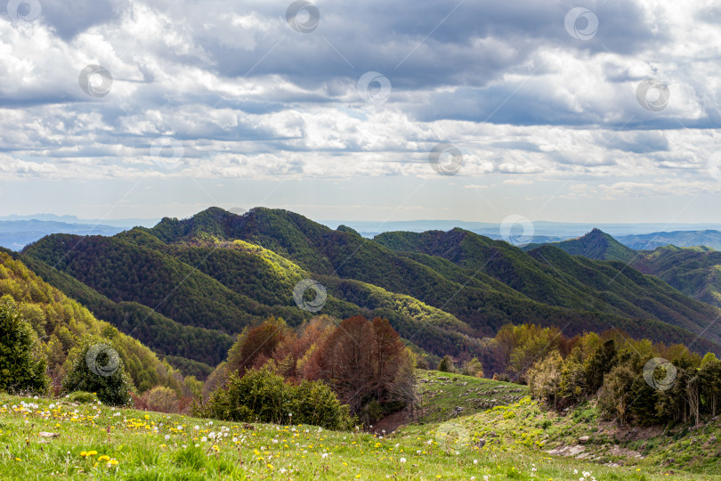 Скачать Зеленые горные вершины, частично освещенные солнцем. Лес и зеленый луг на переднем плане. Каталония, Испания фотосток Ozero