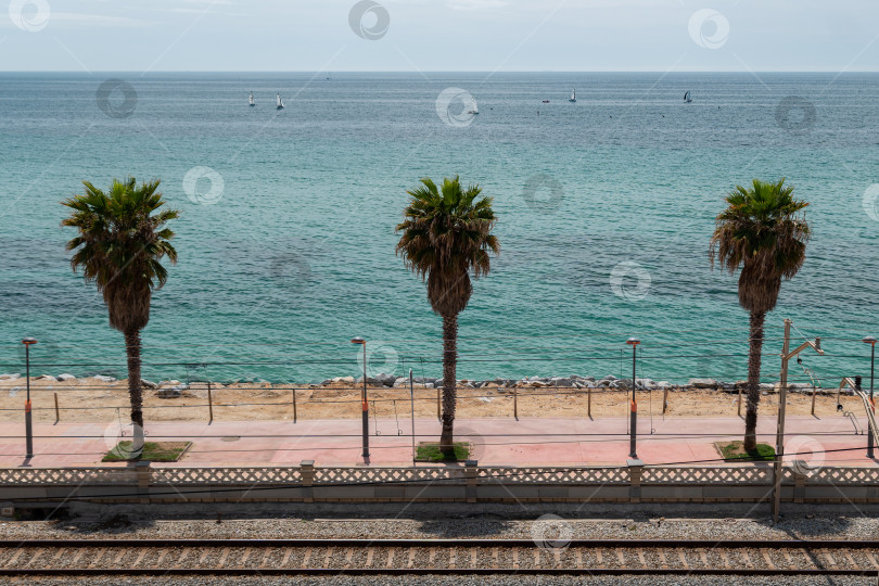 Скачать Трамвайная железная дорога и высокие пальмы на набережной в Вилассар-де-Мар, Барселона фотосток Ozero