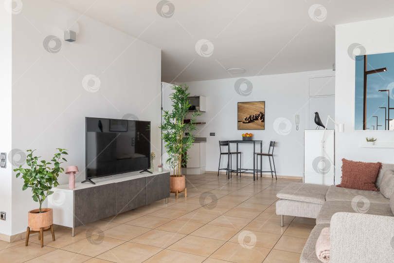 Скачать Плазменный телевизор на подиуме и мягкий диван в современной квартире фотосток Ozero