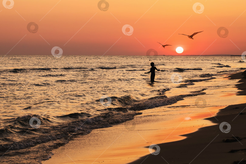Скачать Вечернее спокойное море с прекрасным летним закатом фотосток Ozero
