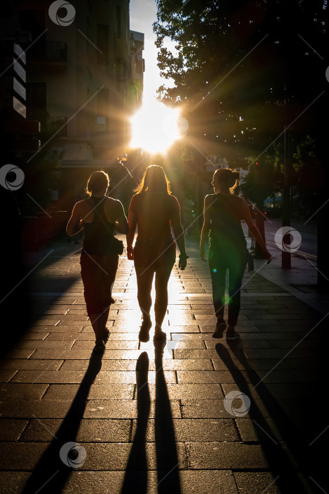 Скачать Вид сзади на трех девушек, прогуливающихся на закате по городской улице при встречном освещении фотосток Ozero