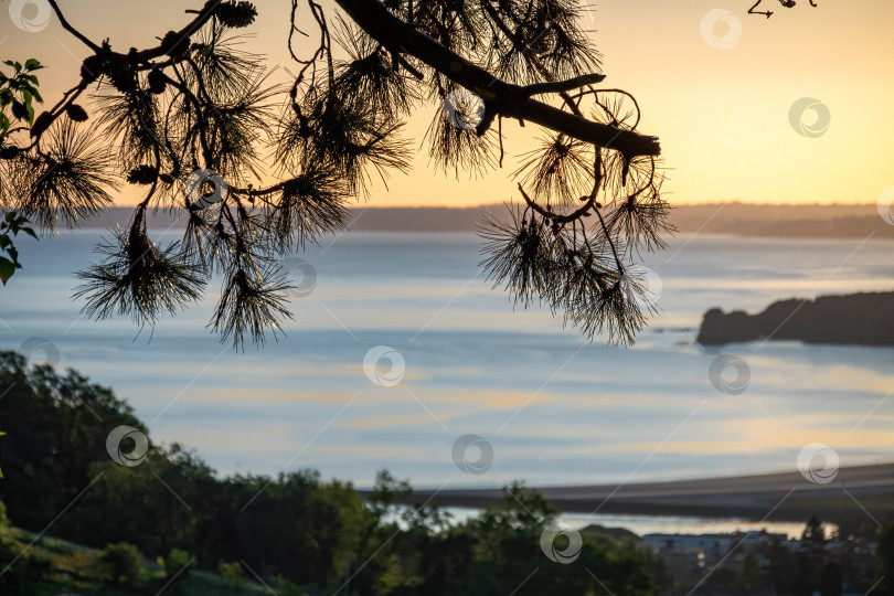 Скачать Прекрасный вид на море сквозь еловые ветви на восходе солнца. фотосток Ozero