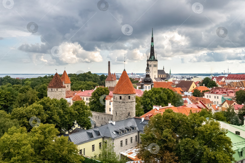 Скачать Панорамный вид на старый город в Таллине, Эстония. Башня церкви Святого Николая и холм Тоомпеа в пасмурный день. фотосток Ozero