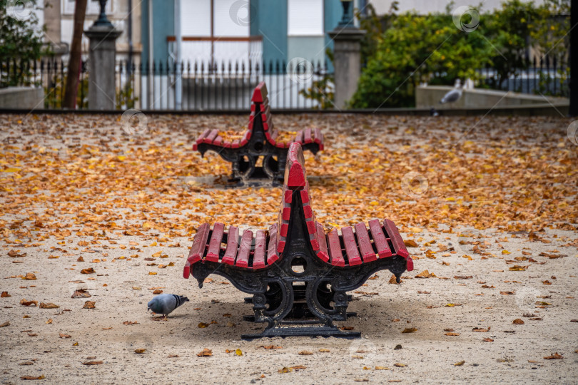 Скачать Пустые старые красные скамейки в городском осеннем парке с опавшими листьями. фотосток Ozero