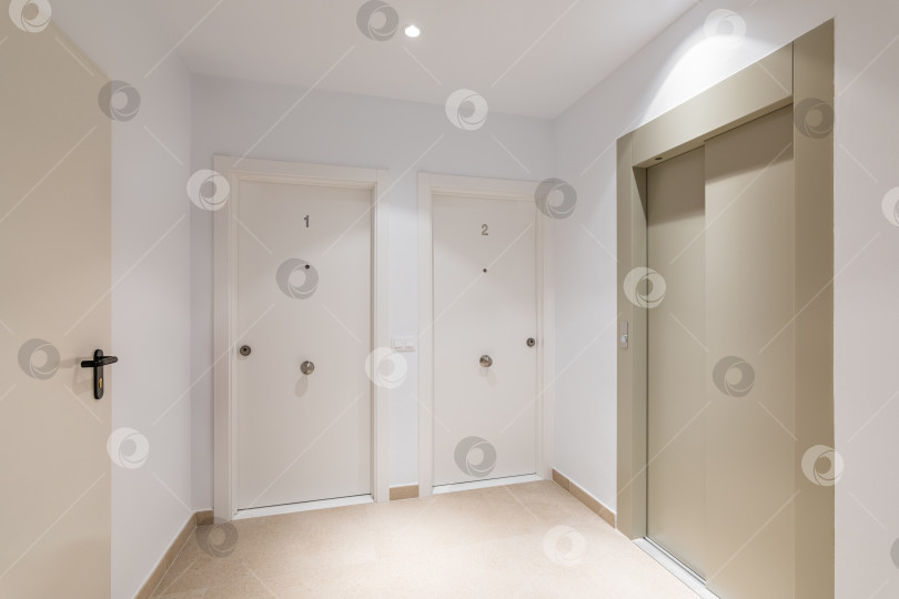 Скачать Белый и чистый этаж с лифтом и дверями в квартиры современного здания фотосток Ozero