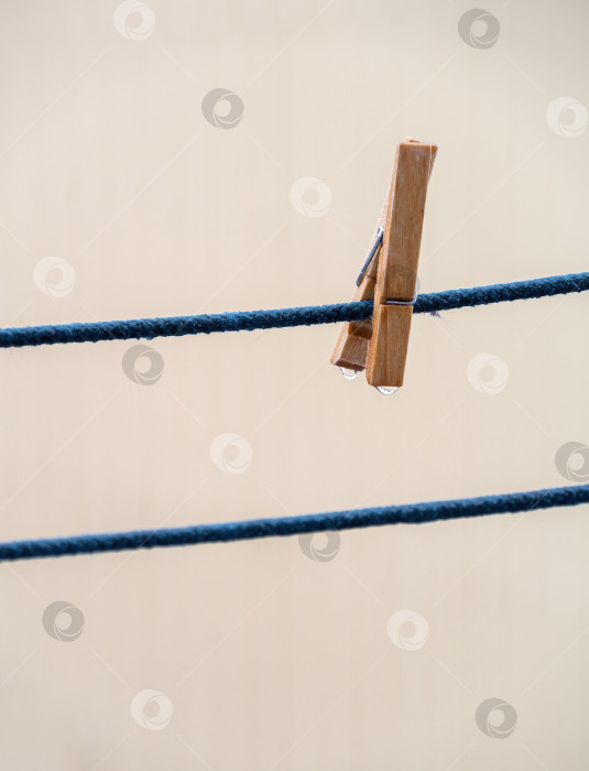 Скачать Одна деревянная прищепка для белья на синей веревке со свисающими каплями воды после дождя на размытом фоне. фотосток Ozero