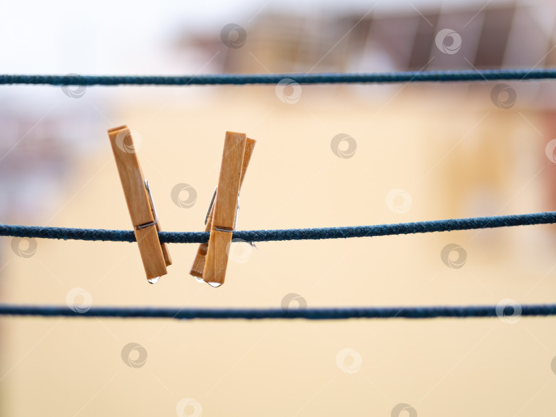 Скачать Пара деревянных прищепок для белья на синей веревке со свисающими каплями воды после дождя с местом для копирования. фотосток Ozero