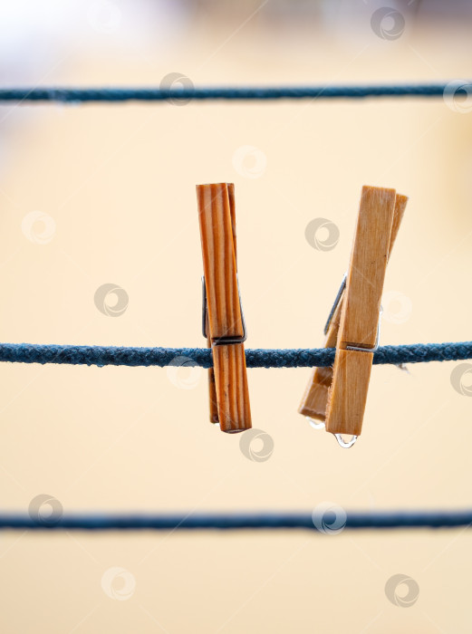 Скачать Две деревянные прищепки для белья на синей веревке со свисающими каплями воды после дождя на размытом фоне. фотосток Ozero