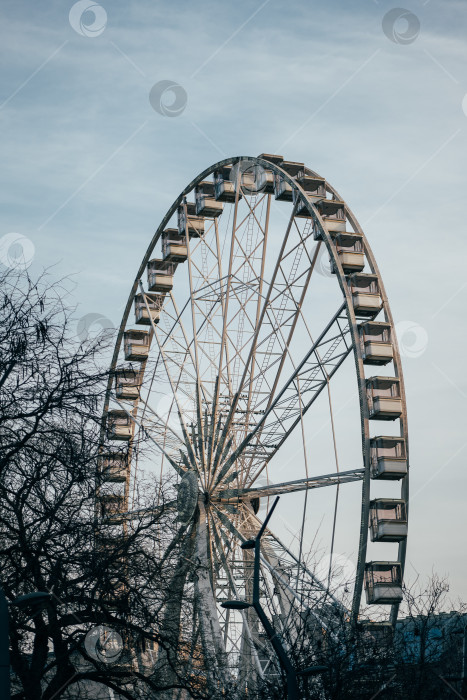 Скачать Насладитесь захватывающей поездкой на знаменитом колесе обозрения среди деревьев и голубого неба в парке развлечений фотосток Ozero