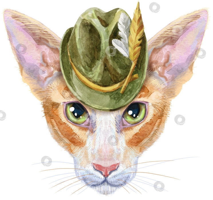 Скачать Прекрасный портрет восточного кота крупным планом в зеленой шляпе. Нарисованная от руки акварельная картина на белом фоне фотосток Ozero