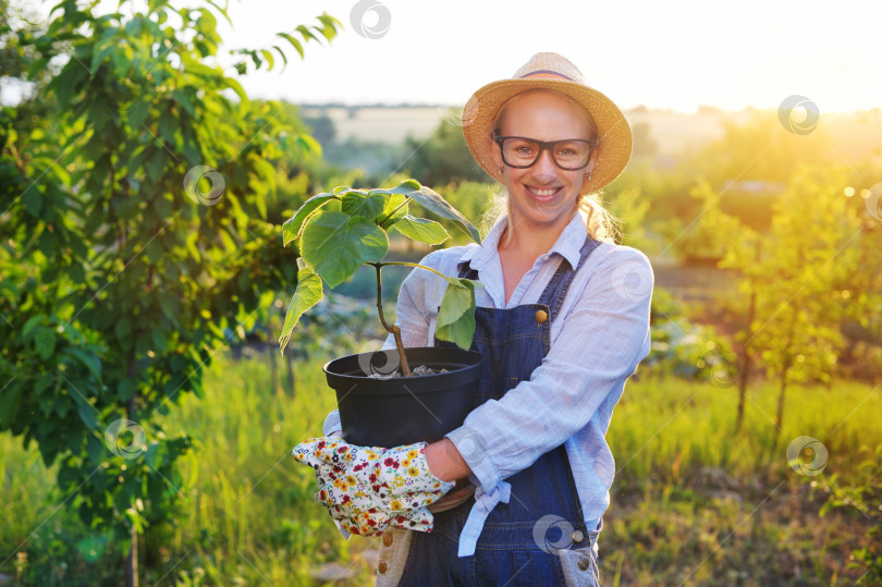 Скачать Счастливый работник фермы с деревом в горшке в руках фотосток Ozero