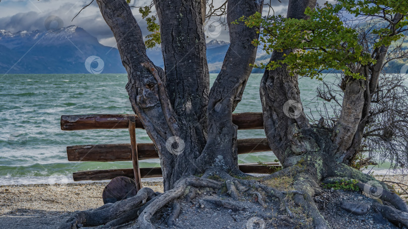 Скачать Скамейка из некрашеных бревен на берегу прекрасного изумрудного озера. фотосток Ozero