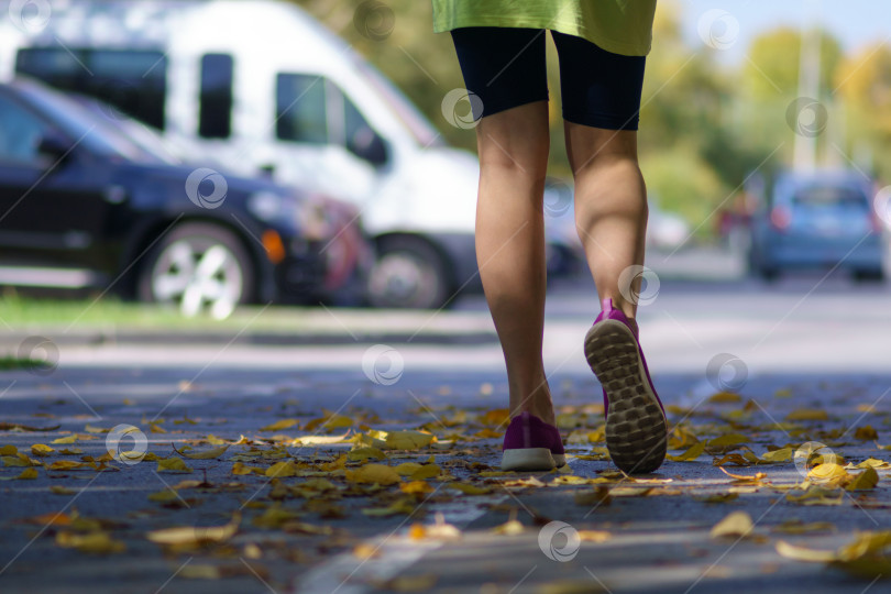 Скачать Женская пара фиолетовых кроссовок в осенней листве. Избирательный фокус фотосток Ozero