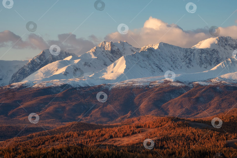 Скачать Осенние снежные горы на закате. Яркий панорамный горный пейзаж со снежной скалой в золотистом солнечном свете. Естественный фон прогулки по скалистым горам с острыми скалами и голубым небом. фотосток Ozero