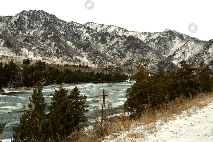 Скачать Колонны и сосны на песчаном берегу замерзшей реки, текущей по долине в заснеженных горах зимним днем. фотосток Ozero