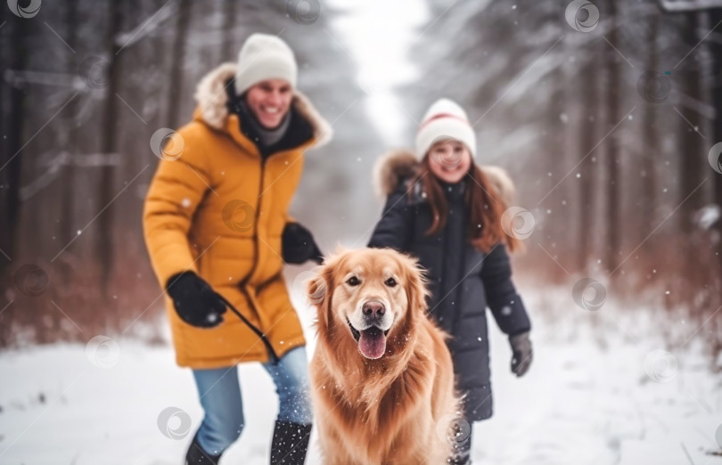 Скачать Счастливая семья выгуливает своего домашнего золотистого ретривера на свежем воздухе в зимнем лесу. Сосредоточенность и смекалка на собаке фотосток Ozero