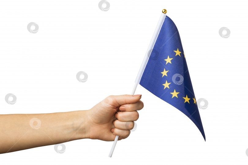 Скачать Рука держит флаг ЕС, выделенный на белом фоне, шаблон для дизайнеров фотосток Ozero