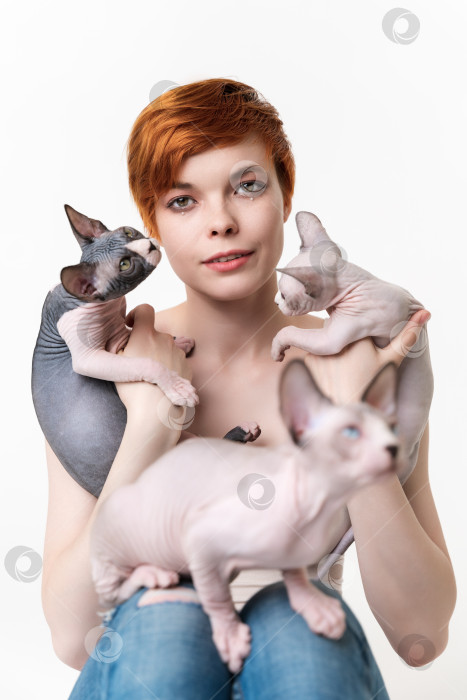 Скачать Рыжеволосая молодая женщина держит в руках двух кошек-сфинксов и одного котенка, сидящего на ногах фотосток Ozero