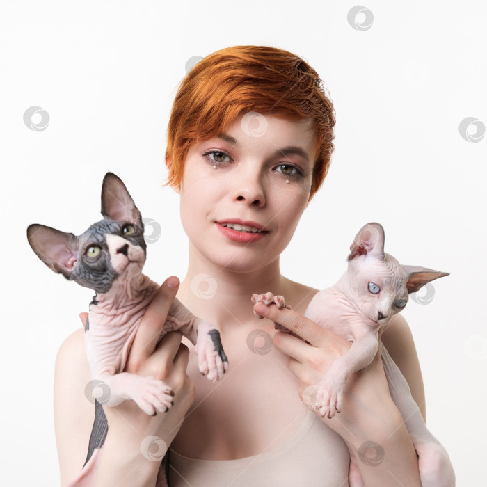 Скачать Рыжеволосая молодая женщина смотрит в камеру, обнимая двух кошек-сфинксов в руках на белом фоне фотосток Ozero