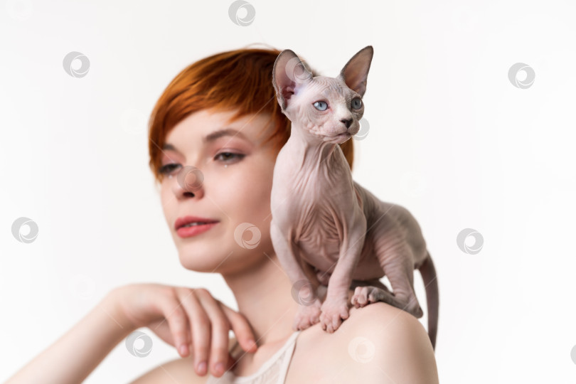 Скачать Безволосый котенок-сфинкс сидит на плече симпатичной рыжеволосой молодой женщины с короткими волосами. Снимок головы фотосток Ozero