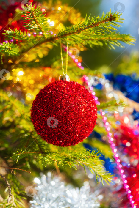 Скачать Красивый сияющий красный рождественский шар, висящий на ветке рождественской сосны фотосток Ozero