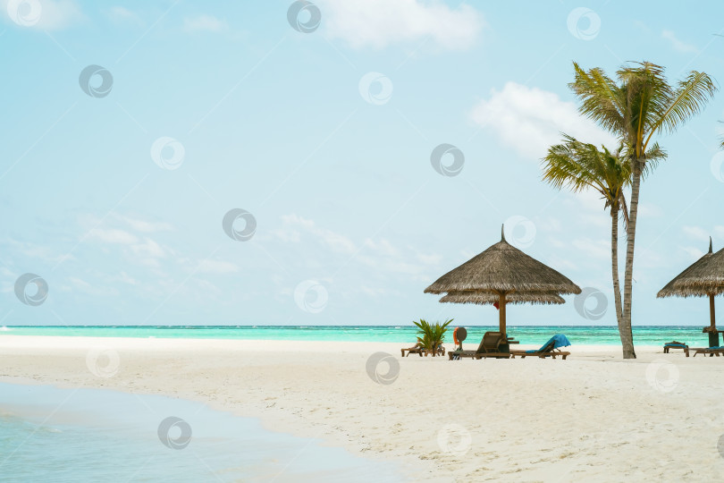 Скачать Песчаный пляж на косе острова Куреду, Мальдивы фотосток Ozero